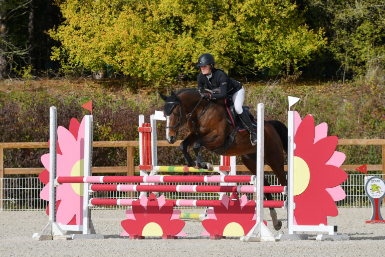 Cheval de hunter qui saute un oxer