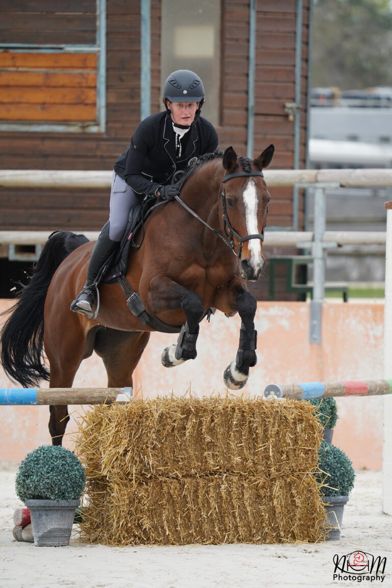 Cheval sautant une pointe en hunter