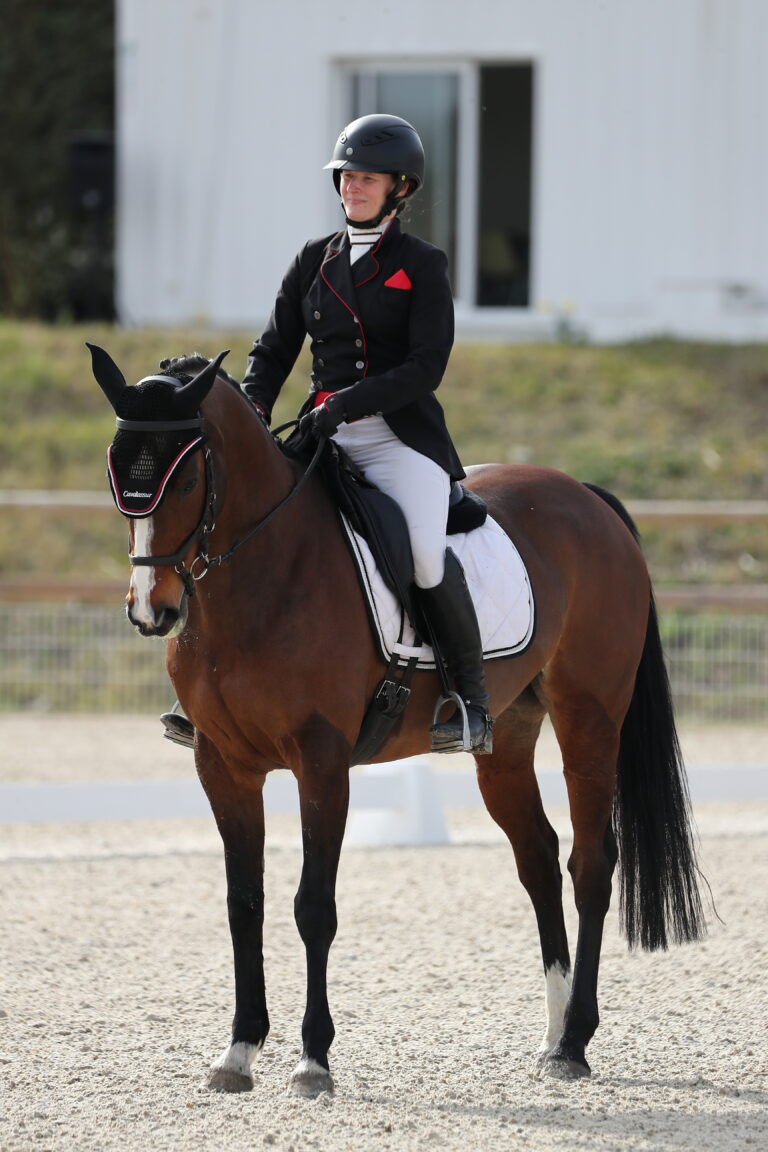 Jument de dressage en concours