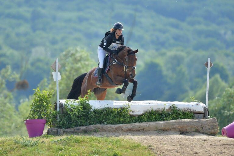 cheval sur un tronc lors d'un cross de cce