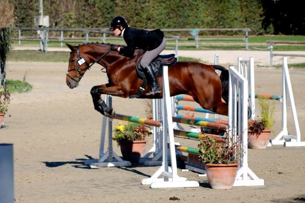 Cheval de hunter sur un oxer