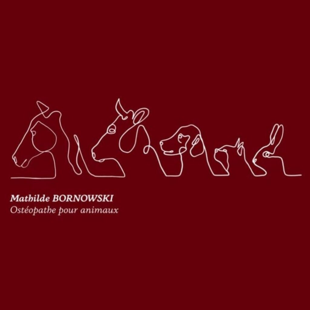 Logo de Mathilde Bornowski, ostéopathe pour animaux