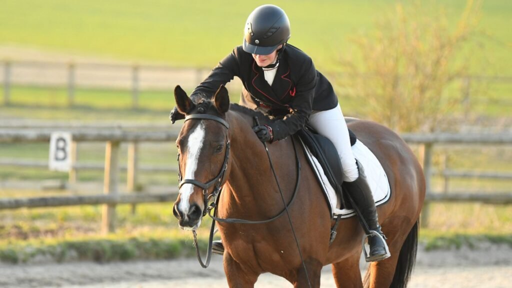 Un cheval à la fin d'une reprise de dressage.