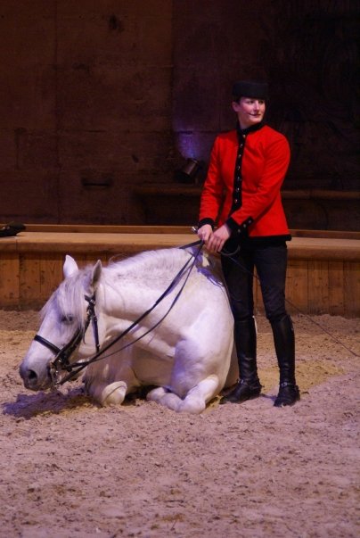 Charlotte Gailhard au Musée du cheval de Chantilly